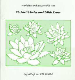 Tanzen im Sitzen zum CD 90.024 [Boek]